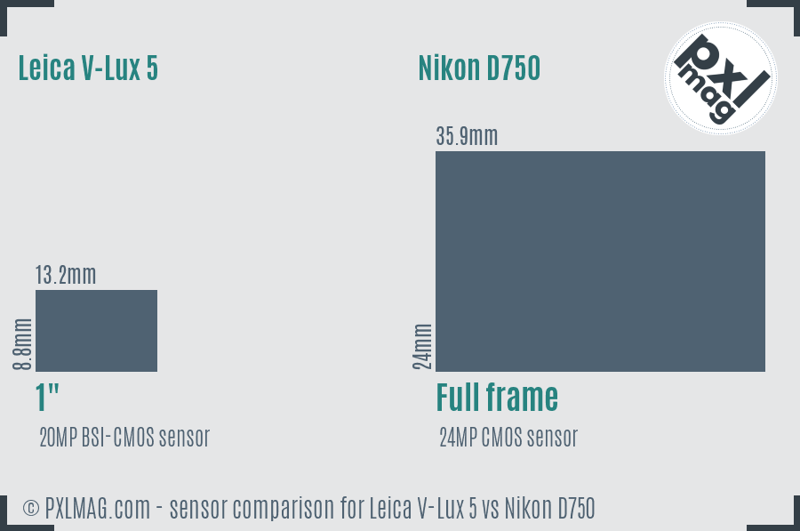 Leica V-Lux 5 vs Nikon D750 sensor size comparison