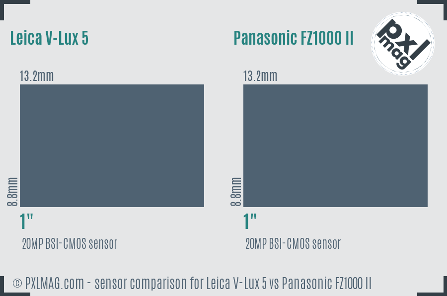 Leica V-Lux 5 vs Panasonic FZ1000 II sensor size comparison