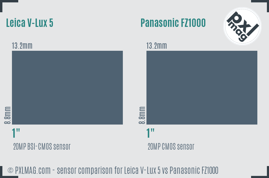 Leica V-Lux 5 vs Panasonic FZ1000 sensor size comparison