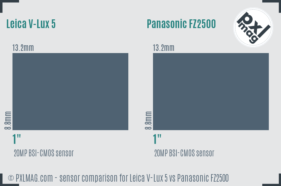 Leica V-Lux 5 vs Panasonic FZ2500 sensor size comparison