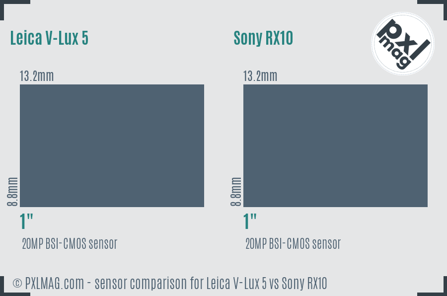 Leica V-Lux 5 vs Sony RX10 sensor size comparison