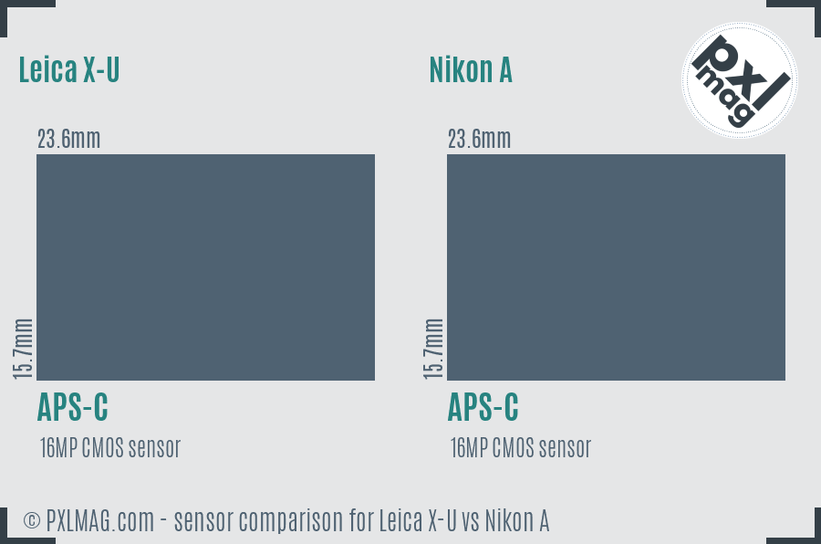 Leica X-U vs Nikon A sensor size comparison