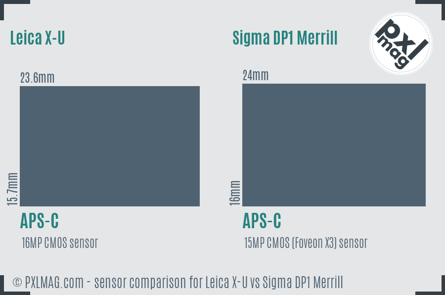 Leica X-U vs Sigma DP1 Merrill sensor size comparison