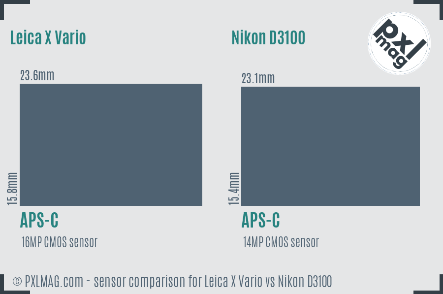 Leica X Vario vs Nikon D3100 sensor size comparison