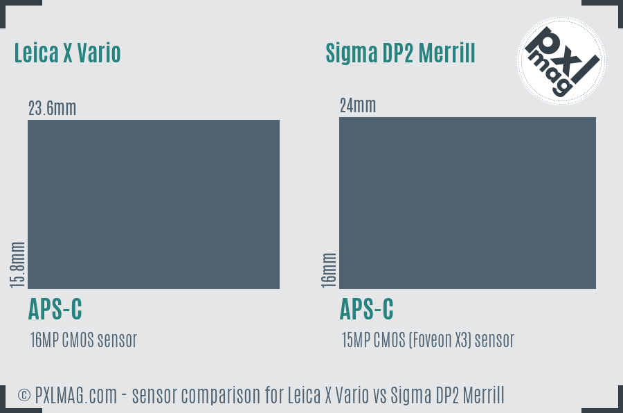 Leica X Vario vs Sigma DP2 Merrill sensor size comparison