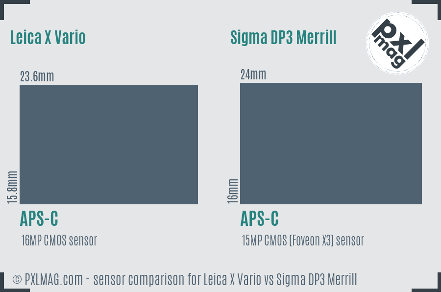 Leica X Vario vs Sigma DP3 Merrill sensor size comparison
