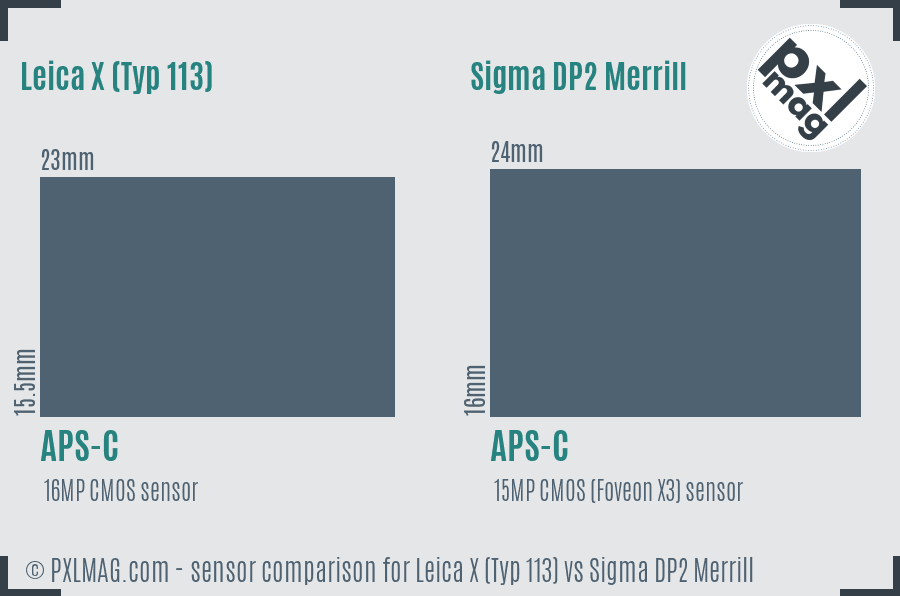 Leica X (Typ 113) vs Sigma DP2 Merrill sensor size comparison