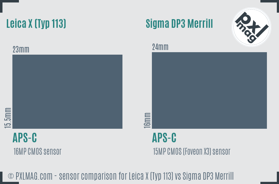 Leica X (Typ 113) vs Sigma DP3 Merrill sensor size comparison