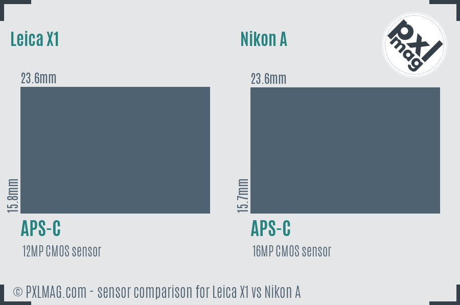 Leica X1 vs Nikon A sensor size comparison