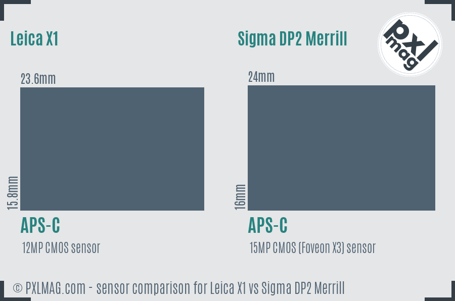 Leica X1 vs Sigma DP2 Merrill sensor size comparison