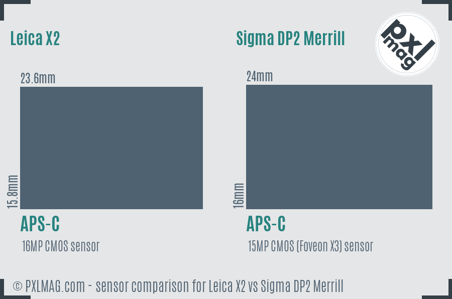 Leica X2 vs Sigma DP2 Merrill sensor size comparison