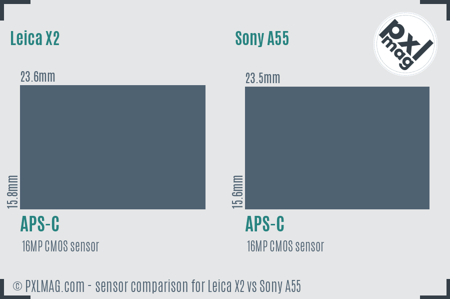 Leica X2 vs Sony A55 sensor size comparison