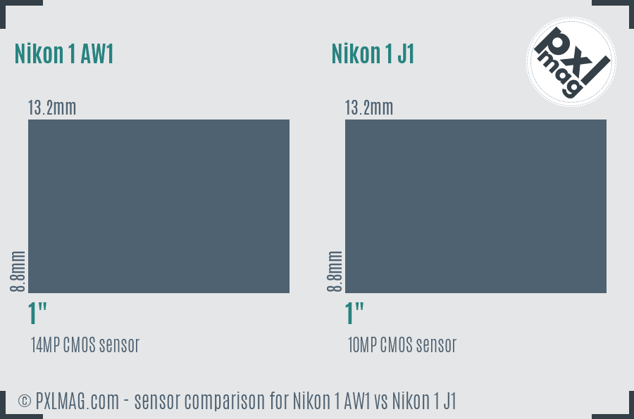 Nikon 1 AW1 vs Nikon 1 J1 sensor size comparison