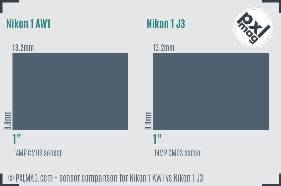 Nikon 1 AW1 vs Nikon 1 J3 sensor size comparison