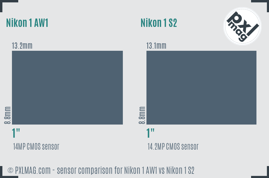 Nikon 1 AW1 vs Nikon 1 S2 sensor size comparison