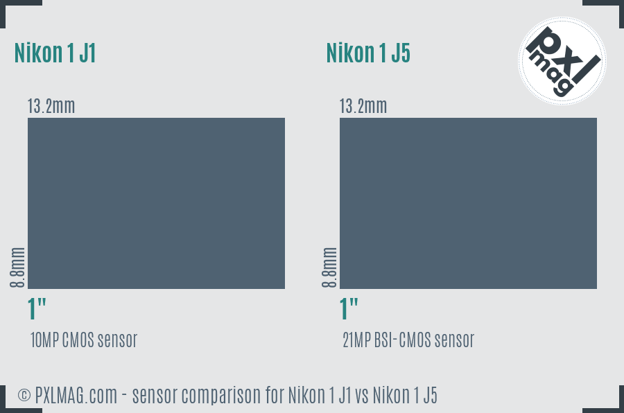 Nikon 1 J1 vs Nikon 1 J5 sensor size comparison