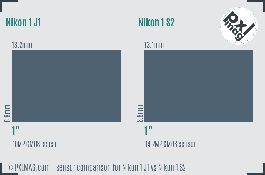 Nikon 1 J1 vs Nikon 1 S2 sensor size comparison