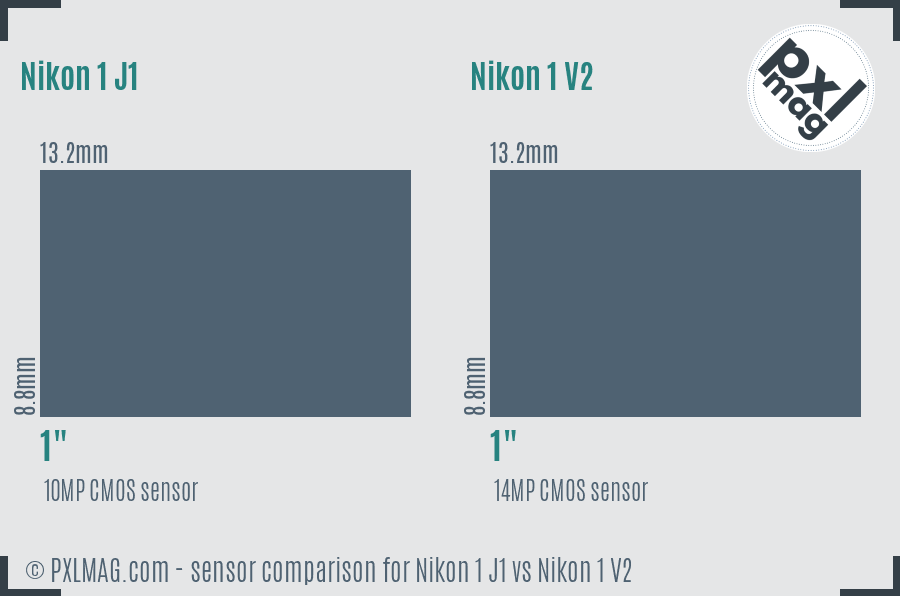 Nikon 1 J1 vs Nikon 1 V2 sensor size comparison