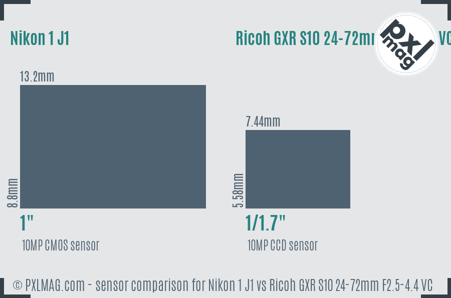 Nikon 1 J1 vs Ricoh GXR S10 24-72mm F2.5-4.4 VC sensor size comparison