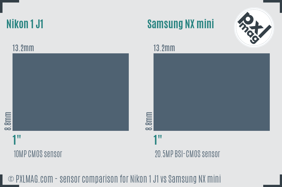 Nikon 1 J1 vs Samsung NX mini sensor size comparison