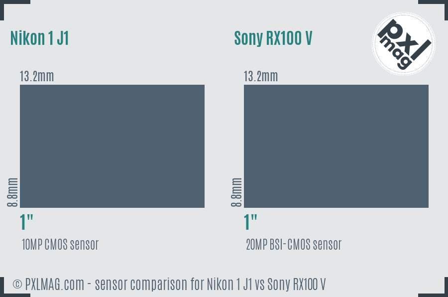Nikon 1 J1 vs Sony RX100 V sensor size comparison Nikon 1 J1 vs Sony RX100 V sensor size comparison