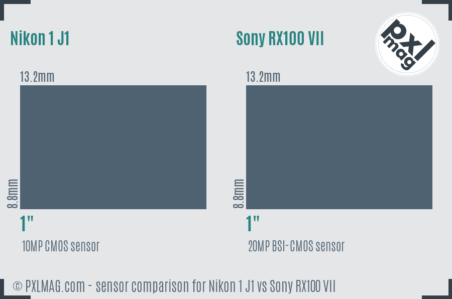 Nikon 1 J1 vs Sony RX100 VII sensor size comparison