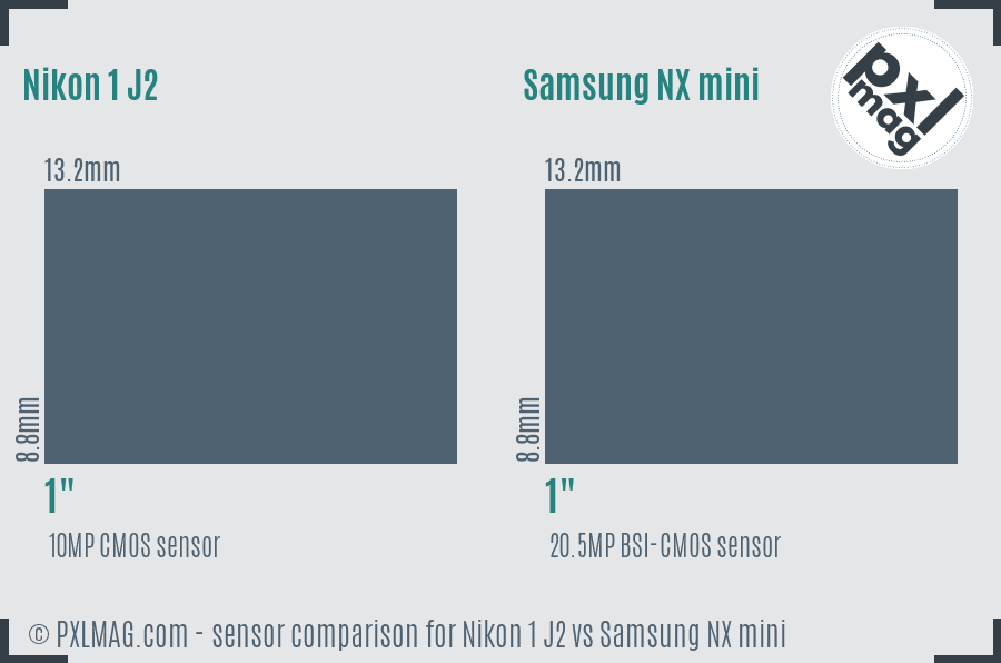 Nikon 1 J2 vs Samsung NX mini sensor size comparison