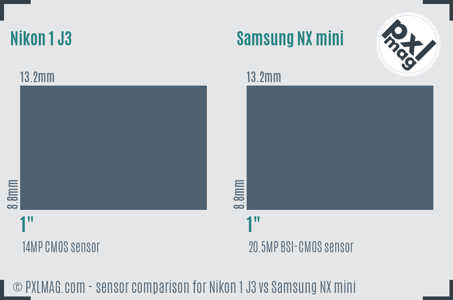 Nikon 1 J3 vs Samsung NX mini sensor size comparison