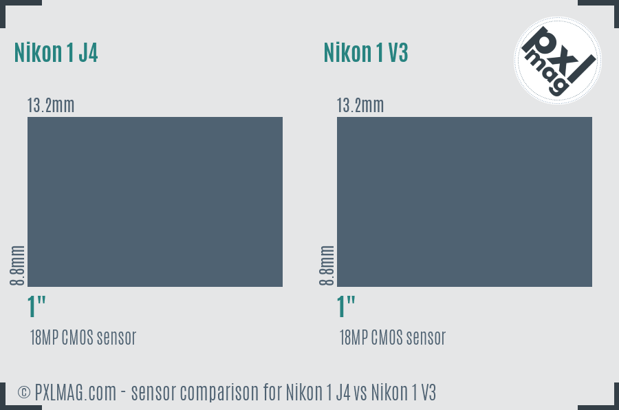 Nikon 1 J4 vs Nikon 1 V3 sensor size comparison