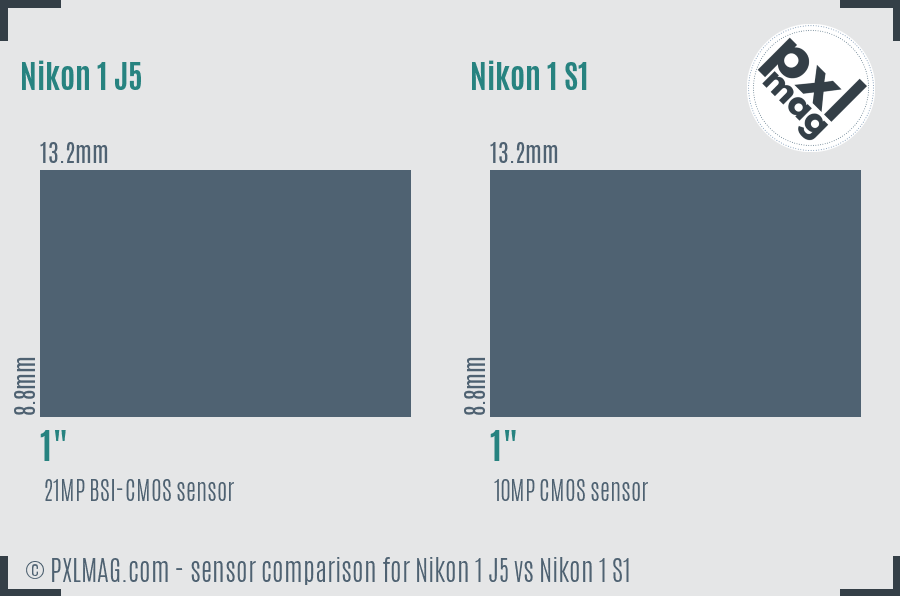 Nikon 1 J5 vs Nikon 1 S1 sensor size comparison