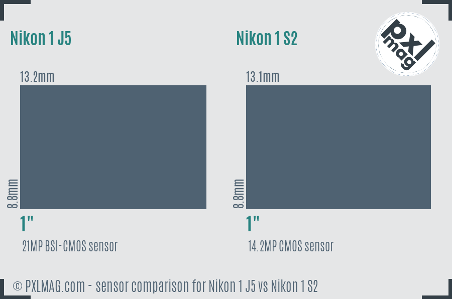 Nikon 1 J5 vs Nikon 1 S2 sensor size comparison