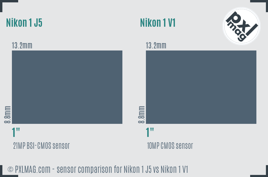 Nikon 1 J5 vs Nikon 1 V1 sensor size comparison
