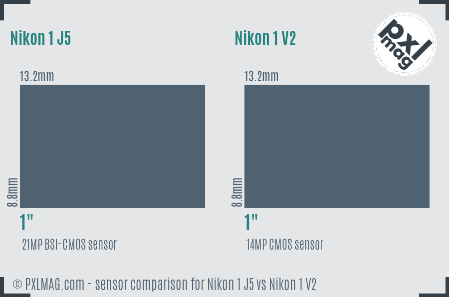Nikon 1 J5 vs Nikon 1 V2 sensor size comparison