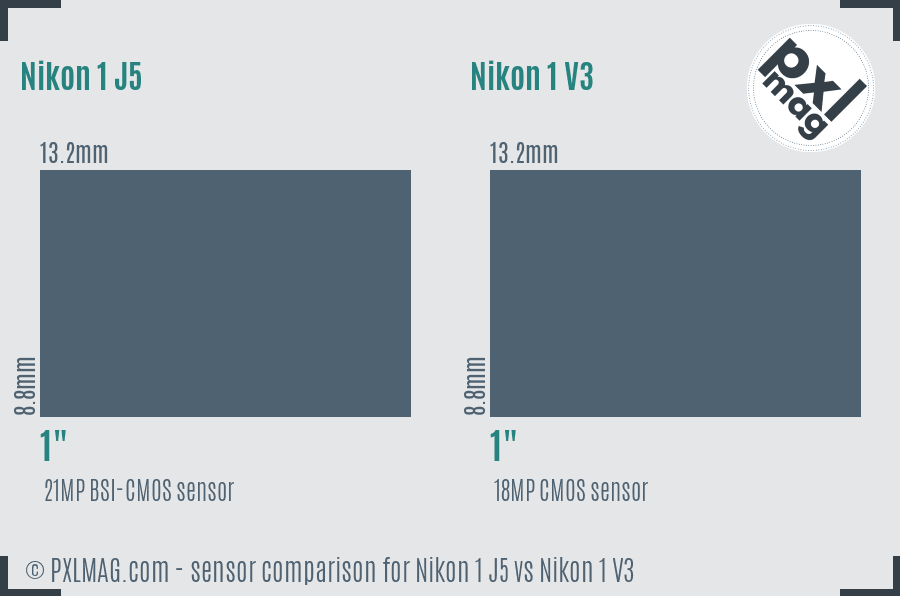 Nikon 1 J5 vs Nikon 1 V3 sensor size comparison