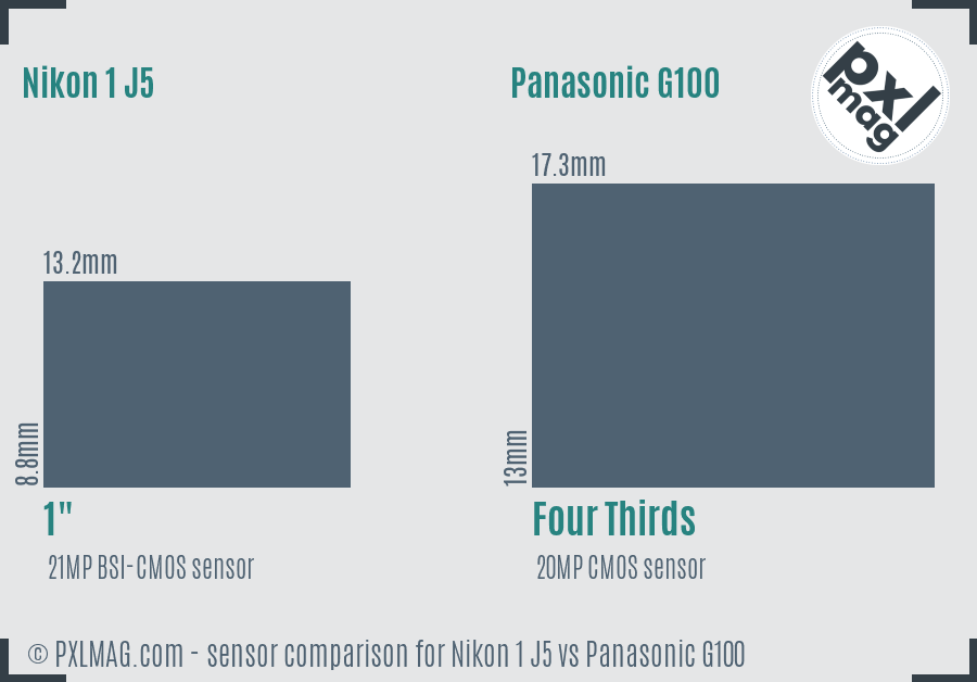 Nikon 1 J5 vs Panasonic G100 sensor size comparison