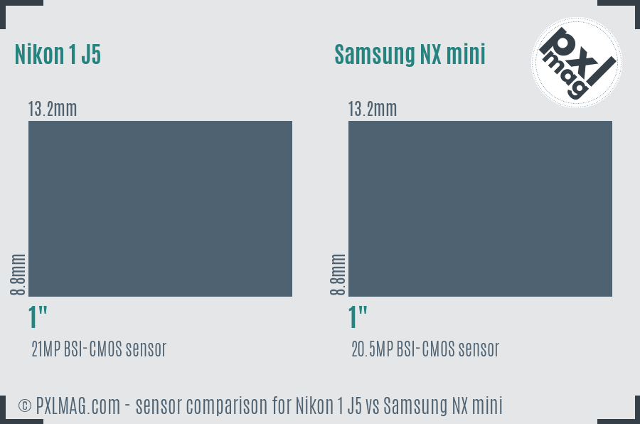 Nikon 1 J5 vs Samsung NX mini sensor size comparison