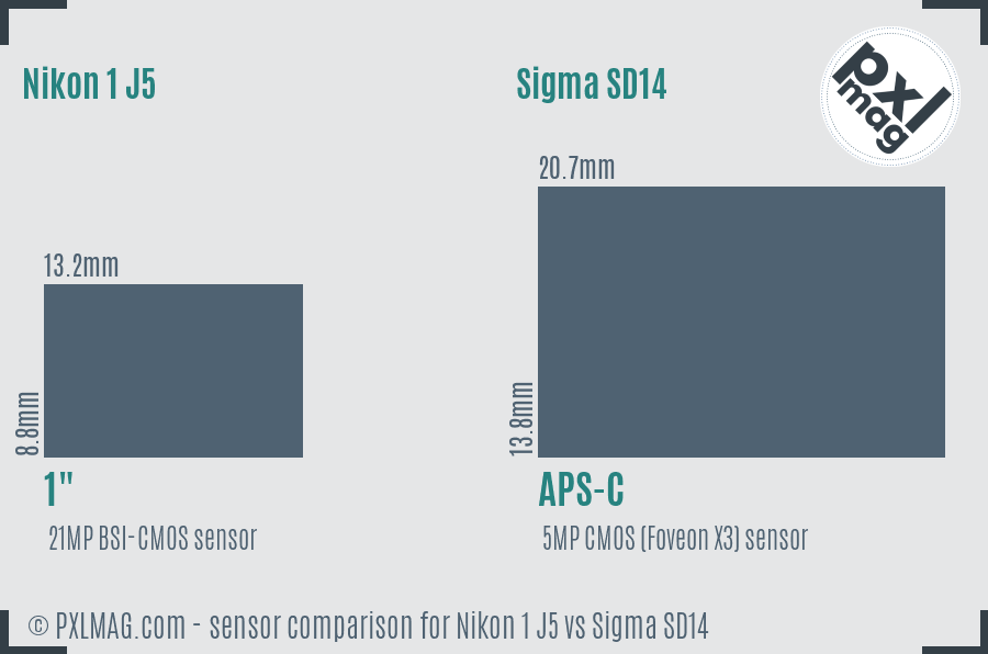 Nikon 1 J5 vs Sigma SD14 sensor size comparison