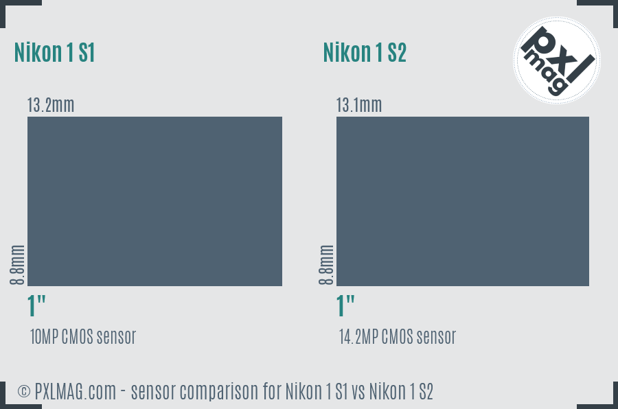 Nikon 1 S1 vs Nikon 1 S2 sensor size comparison