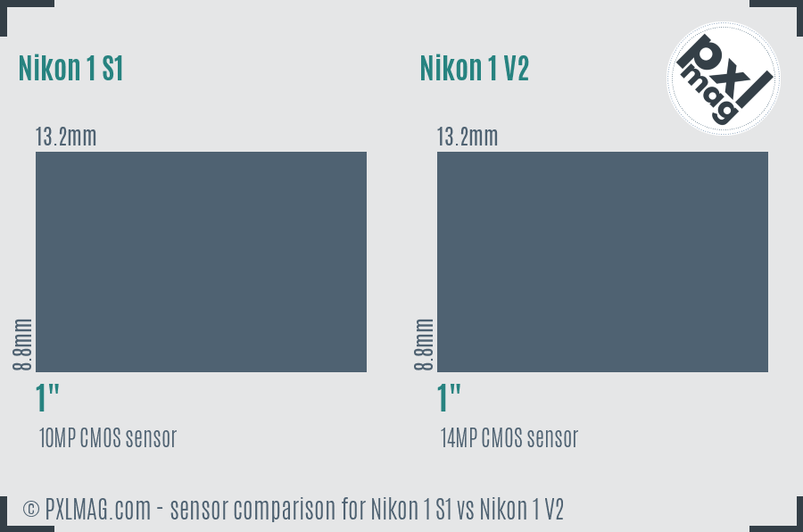 Nikon 1 S1 vs Nikon 1 V2 sensor size comparison