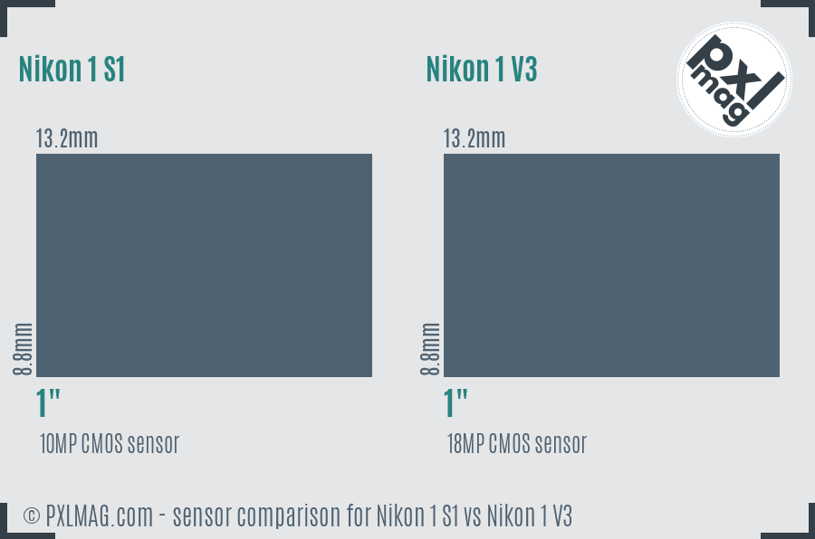 Nikon 1 S1 vs Nikon 1 V3 sensor size comparison