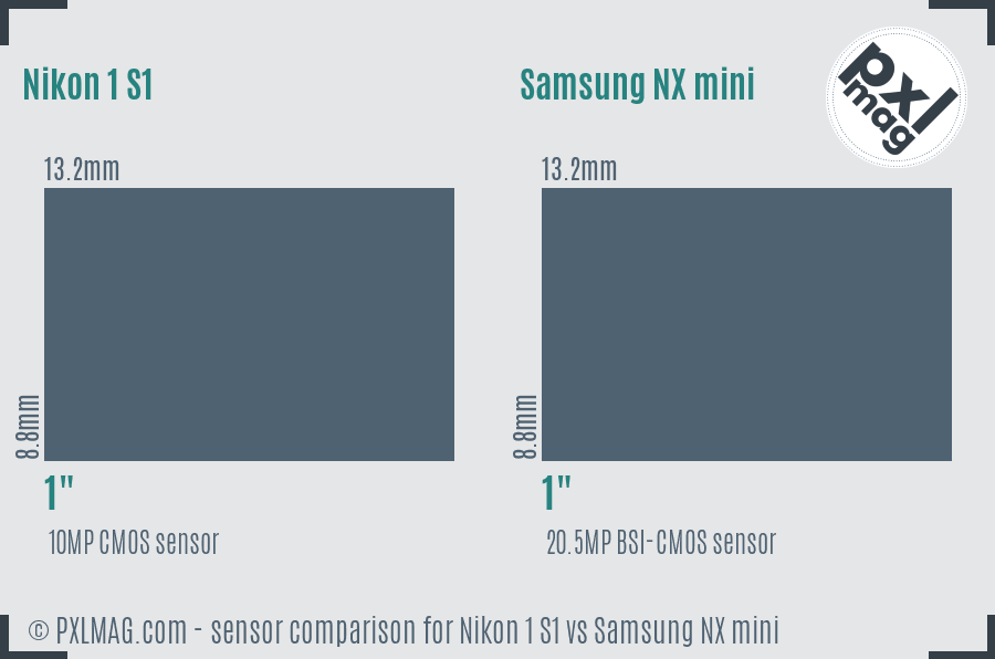 Nikon 1 S1 vs Samsung NX mini sensor size comparison