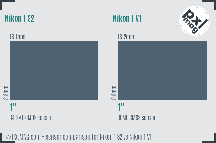 Nikon 1 S2 vs Nikon 1 V1 sensor size comparison