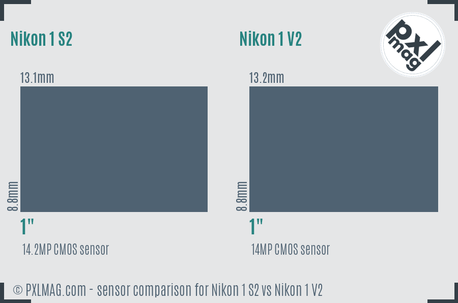 Nikon 1 S2 vs Nikon 1 V2 sensor size comparison