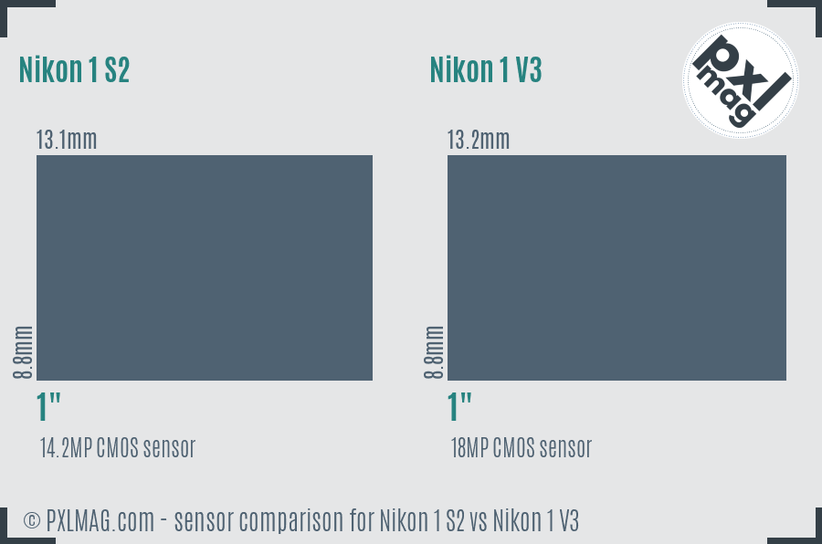 Nikon 1 S2 vs Nikon 1 V3 sensor size comparison