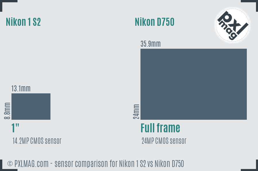 Nikon 1 S2 vs Nikon D750 sensor size comparison