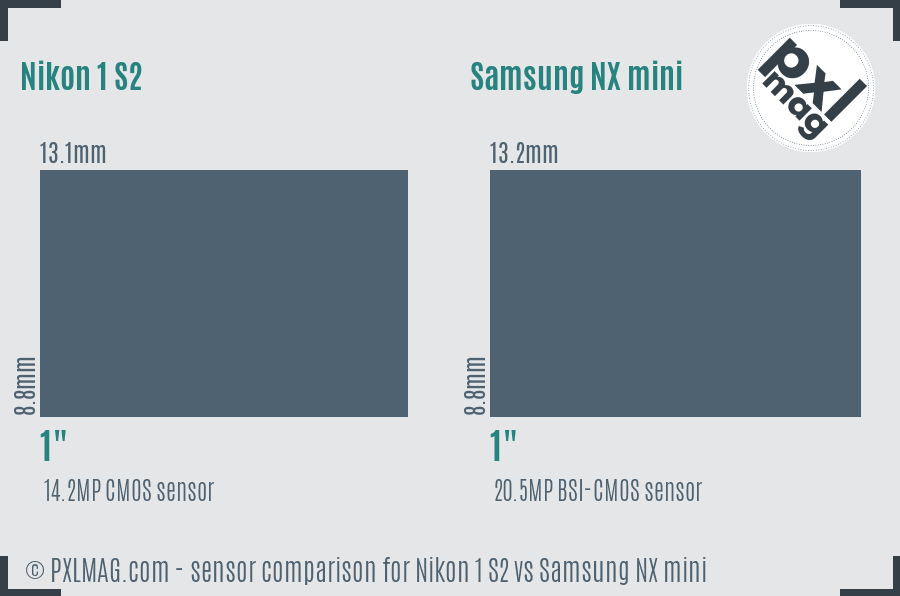 Nikon 1 S2 vs Samsung NX mini sensor size comparison