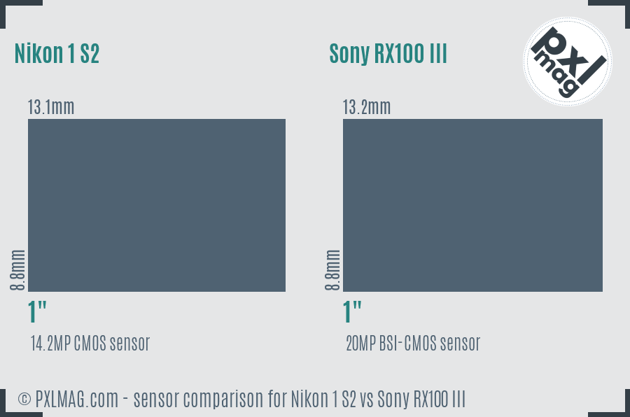 Nikon 1 S2 vs Sony RX100 III sensor size comparison