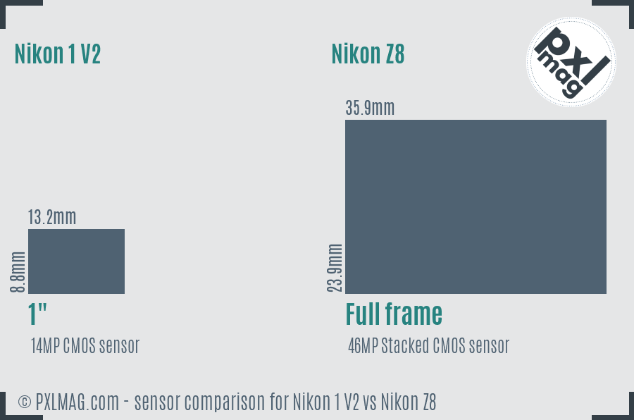 Nikon 1 V2 vs Nikon Z8 sensor size comparison