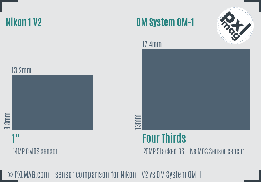 Nikon 1 V2 vs OM System OM-1 sensor size comparison Nikon 1 V2 vs OM System OM-1 sensor size comparison