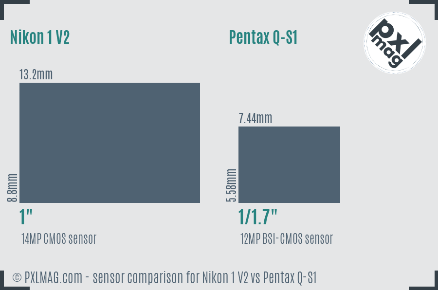 Nikon 1 V2 vs Pentax Q-S1 sensor size comparison